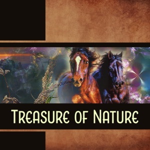 Treasure of Nature