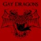 Witchslayer - Gay Dragons lyrics