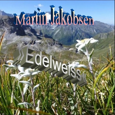 Martin Jakobsen - Sailing