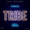 Tribe - Afishal & Sonic Snares lyrics