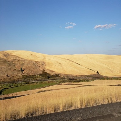 Under Ground Kings - Freeze