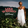 Lizz Wright Coming Home The Orchard