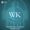 How Could an Angel Break My Heart - White Knight Instrumental