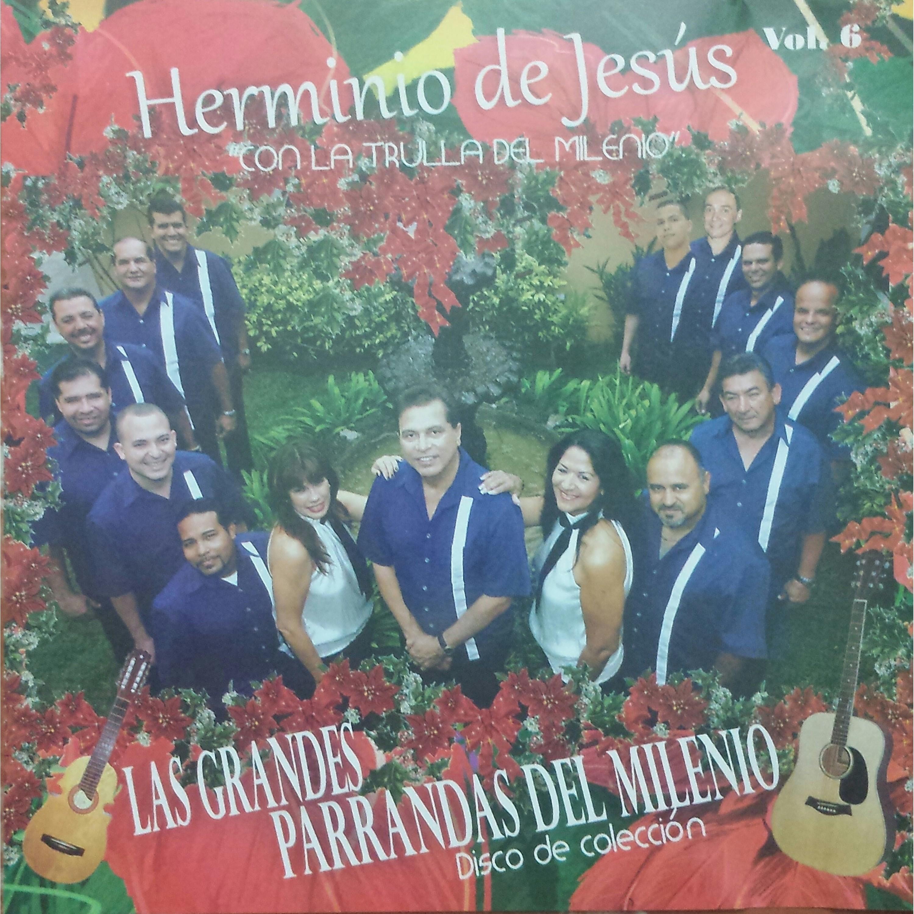 Las Grandes Parrandas del Milenio, Vol. 6