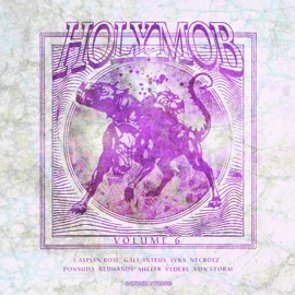 Better Play It Smart (feat. Gali & Inteus) Holy Mob