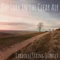 THE_LARK_IN_THE_CLEAR_AIR