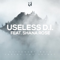 USELESS D.I. - Different Ways (Instrumental)