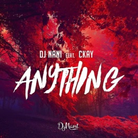 Anything (feat. Ckay) Djnani