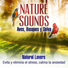 Aves Cantoras - Natural Lovers
