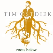 Tim Ostdiek - Until the Harvest Comes