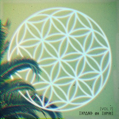 Expand or Expire., Vol. 7