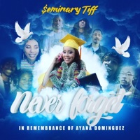 Never Forget - Single - $eminary Tiff