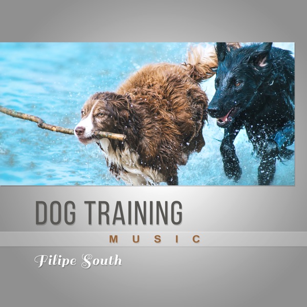 Dog Training Music