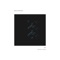 Affirming the Consequent - Danny Isola lyrics