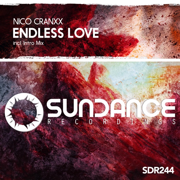 Endless Love - Single