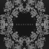 AK - Branches artwork