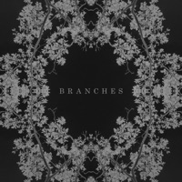 Branches - AK