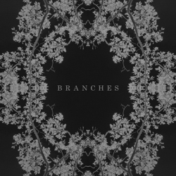 Branches - AK Cover Art