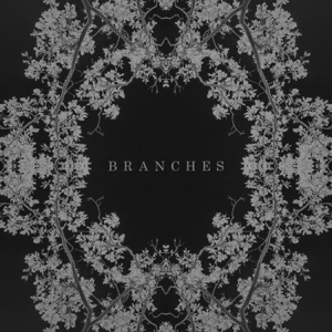 Branches