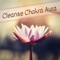 An Universe of Possibilities - Chakra Awakening lyrics