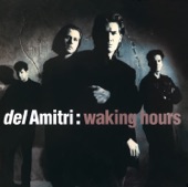 Del Amitri - Spit in the Rain