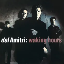 Waking Hours (Re-Presents) - Del Amitri