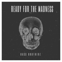 Ready for the Madness - Single - Bass Brotherz