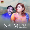 Nai Milna - Single