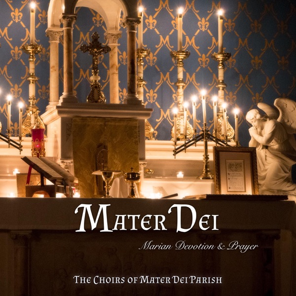 Mater Dei: Marian Devotion & Prayer
