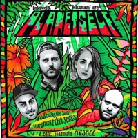 Following the Sun - Single - Planetself