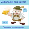 Johann Strauss Johann Strauß Top 30: Volksmusik aus Bayern, Österreich und den Alpen, Vol. 1