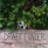 In My Mind - Draft Evader