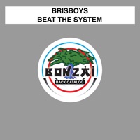 Beat the System - Single - Brisboys