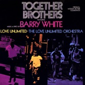 The Love Unlimited Orchestra - Theme From Together Brothers