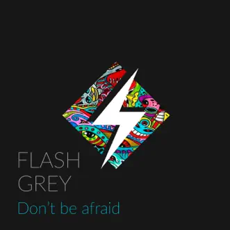 Don't Be Afraid - Single by Flash Grey album reviews, ratings, credits