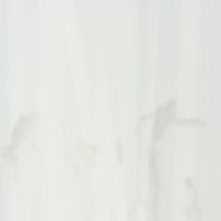 11111111 - Single - Shamana