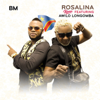 Rosalina (Remix) [feat. Awilo Longomba] - B.M.