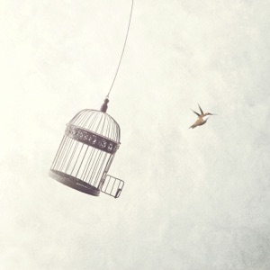 Inno (Remixes) - Single