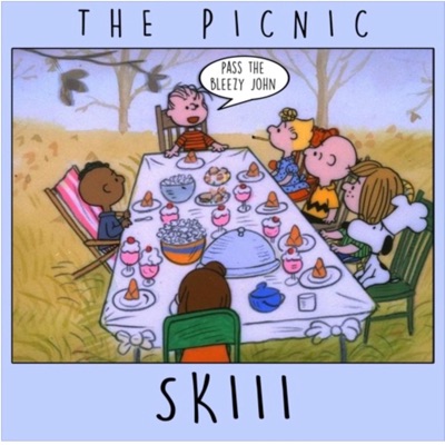 The Picnic - Single