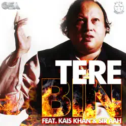 Tere Bin (feat. Kais Khan & Sir Aah) - Single - Nusrat Fateh Ali Khan Tere Bin (feat. Kais Khan & Sir Aah) - Single - Nusrat Fateh Ali Khan