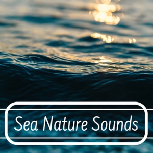 Sea Nature Sounds - Gentle & Soothing Natural Sounds of Crashing Waves and Flowing Waters