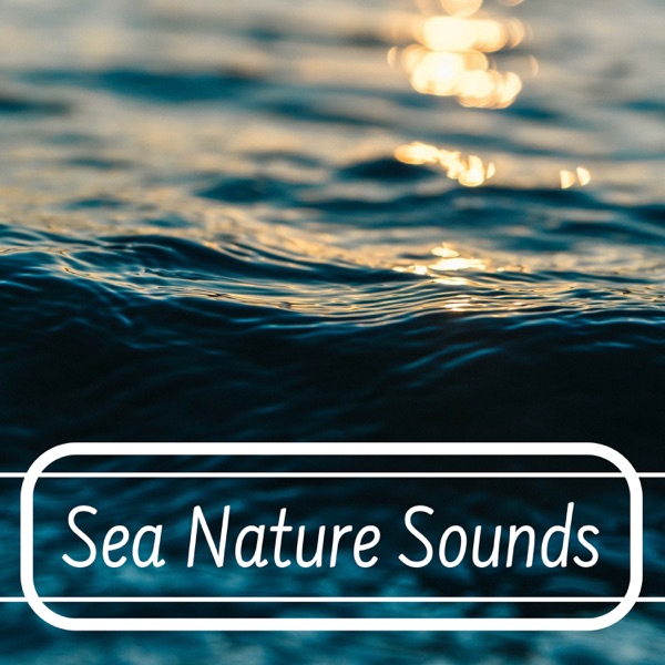 Sea Nature Sounds - Gentle & Soothing Natural Sounds of Crashing Waves and Flowing Waters