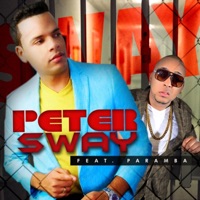 Una Mujer Por Año (feat. Paramba) - Single - Peter Sway