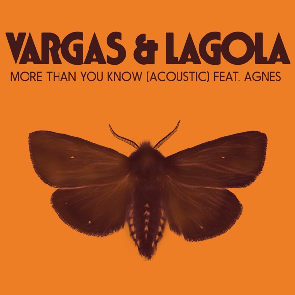 More Than You Know (Acoustic) [feat. Agnes] - Single - Vargas & Lagola