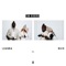 Em Dobro (feat. Naio) - Luanna lyrics