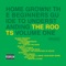 Home Grown! The Beginner's Guide to Understanding the Roots, Vol. 1