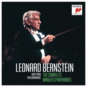 Symphony No. 7 in E Minor: V. Rondo - Finale. Tempo I (Allegro ordinario)