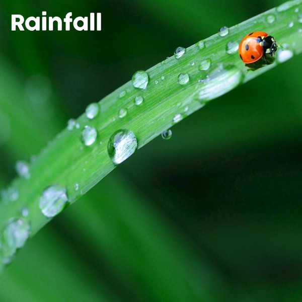 Rainfall - EP