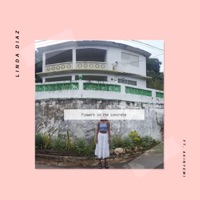 Flowers in the Concrete (feat. Akinyemi) - Single - Linda Diaz