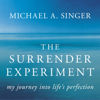 The Surrender Experiment - Michael A. Singer